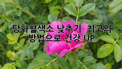 당화혈색소 낮추기 ✨ 최고의 방법으로 건강 UP! 💯